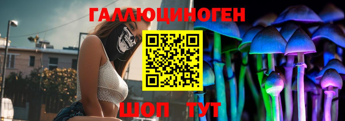 Галлюциногенные грибы MAGIC MUSHROOMS  Вход с VPN  Богородск 